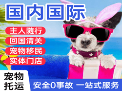 琼海机场物流国际宠物托运 【国